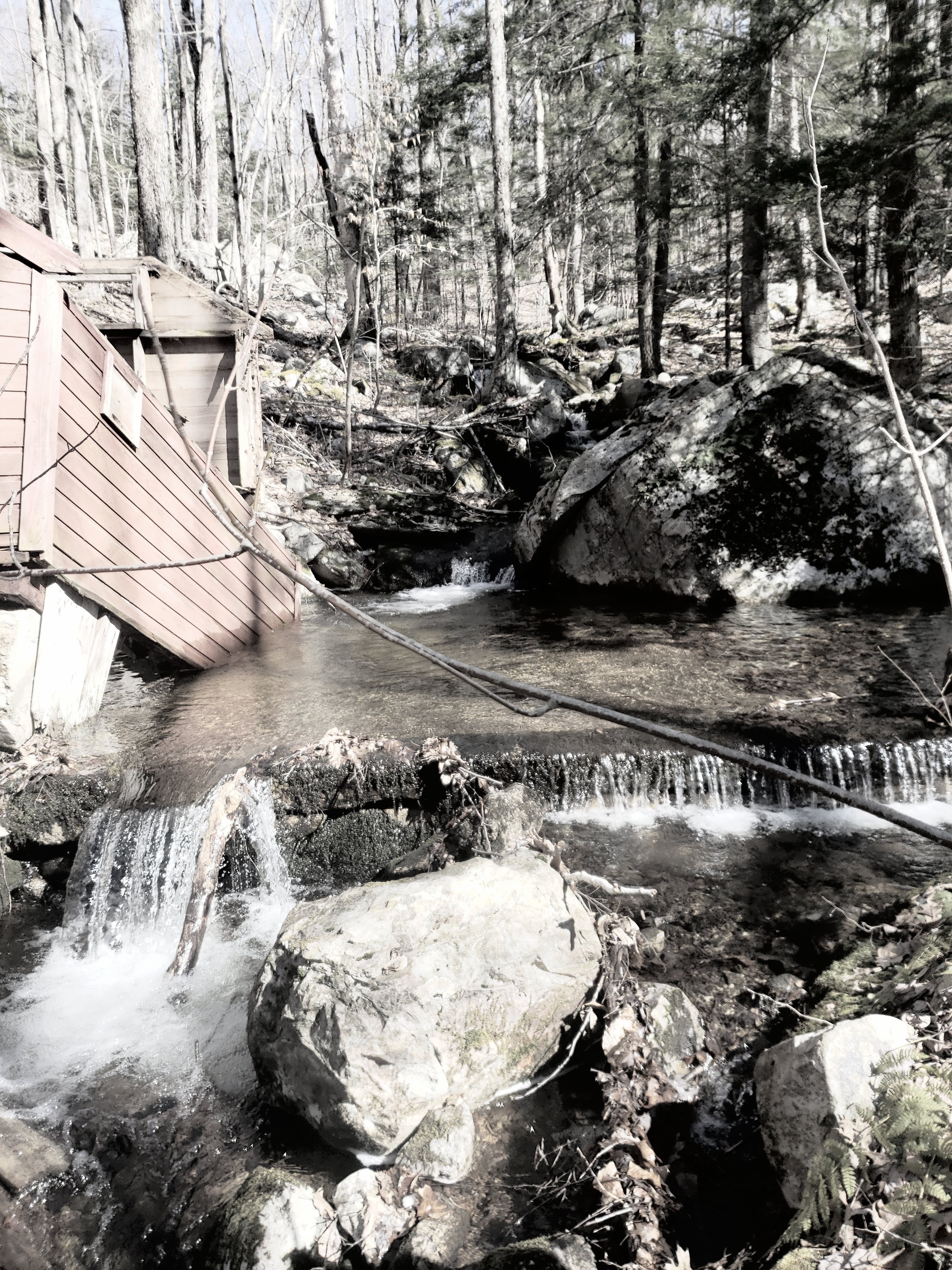 Water Shed in the Woods